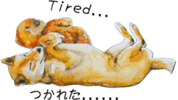 Shiba Inu Sisters and friends - 3 sticker #13493485