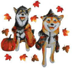 Shiba Inu Sisters and friends - 3 sticker #13493487