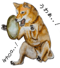 Shiba Inu Sisters and friends - 3 sticker #13493488