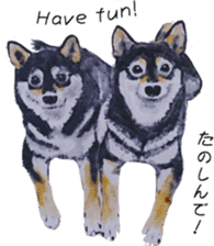 Shiba Inu Sisters and friends - 3 sticker #13493489