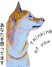 Shiba Inu Sisters and friends - 3 sticker #13493490