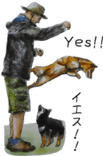 Shiba Inu Sisters and friends - 3 sticker #13493496