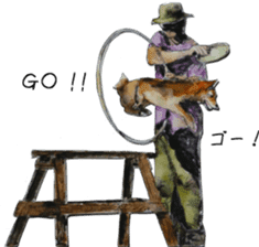 Shiba Inu Sisters and friends - 3 sticker #13493497