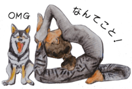 Shiba Inu Sisters and friends - 3 sticker #13493499