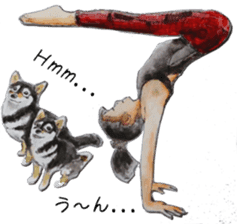 Shiba Inu Sisters and friends - 3 sticker #13493500