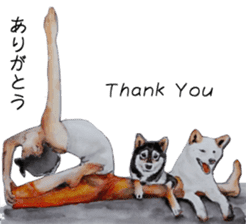 Shiba Inu Sisters and friends - 3 sticker #13493501