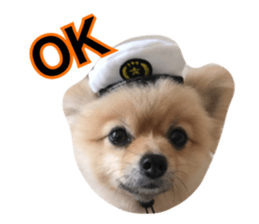 daily conversation of shin-chan sticker #13493822