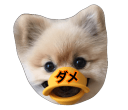 daily conversation of shin-chan sticker #13493827