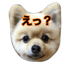 daily conversation of shin-chan sticker #13493829