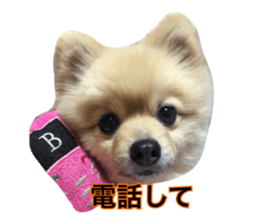 daily conversation of shin-chan sticker #13493831