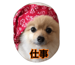 daily conversation of shin-chan sticker #13493832