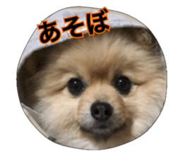 daily conversation of shin-chan sticker #13493833