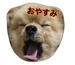 daily conversation of shin-chan sticker #13493835