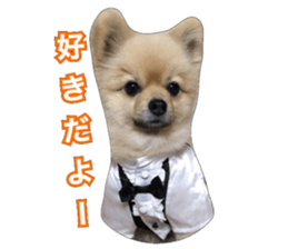 daily conversation of shin-chan sticker #13493837