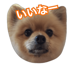 daily conversation of shin-chan sticker #13493842