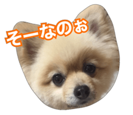 daily conversation of shin-chan sticker #13493844