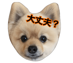 daily conversation of shin-chan sticker #13493846