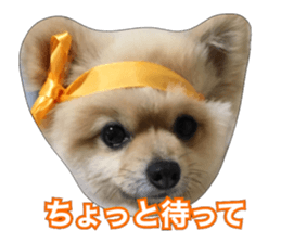 daily conversation of shin-chan sticker #13493848