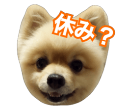 daily conversation of shin-chan sticker #13493849