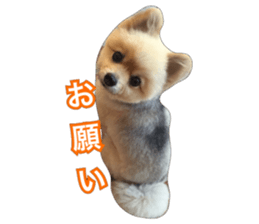 daily conversation of shin-chan sticker #13493852