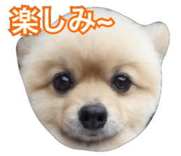 daily conversation of shin-chan sticker #13493854