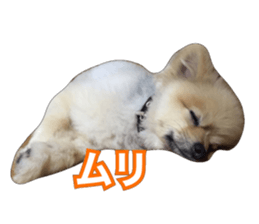 daily conversation of shin-chan sticker #13493856