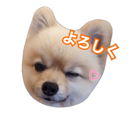 daily conversation of shin-chan sticker #13493857