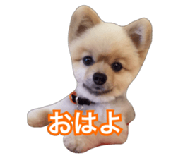 daily conversation of shin-chan sticker #13493858