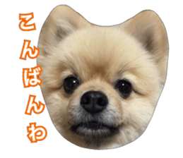 daily conversation of shin-chan sticker #13493860