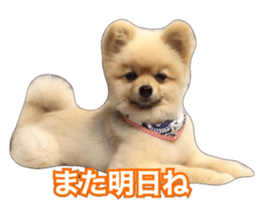 daily conversation of shin-chan sticker #13493861