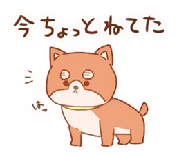 Stickers of Shiba inu sticker #13494240