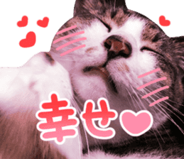 Good friends cat Koo-chan Ghee-chan sticker #13494320