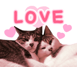 Good friends cat Koo-chan Ghee-chan sticker #13494322