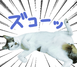 Good friends cat Koo-chan Ghee-chan sticker #13494323