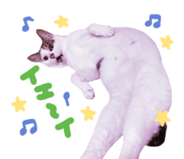 Good friends cat Koo-chan Ghee-chan sticker #13494326