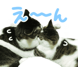 Good friends cat Koo-chan Ghee-chan sticker #13494328