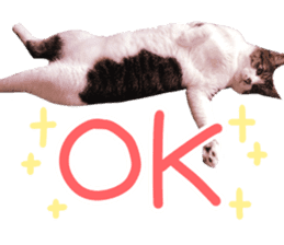 Good friends cat Koo-chan Ghee-chan sticker #13494335