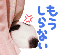 Good friends cat Koo-chan Ghee-chan sticker #13494338