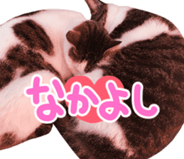 Good friends cat Koo-chan Ghee-chan sticker #13494345