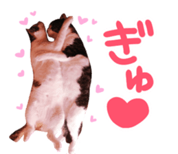 Good friends cat Koo-chan Ghee-chan sticker #13494349