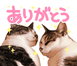 Good friends cat Koo-chan Ghee-chan sticker #13494353