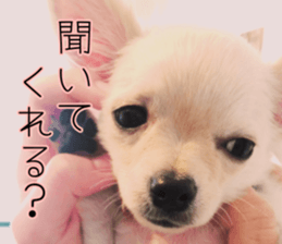 Dear Ritz.2 sticker #13495031