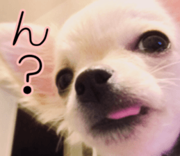 Dear Ritz.2 sticker #13495033