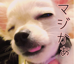 Dear Ritz.2 sticker #13495034