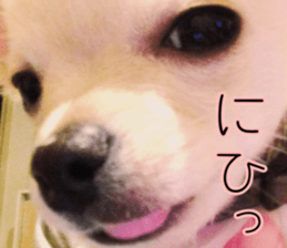 Dear Ritz.2 sticker #13495035