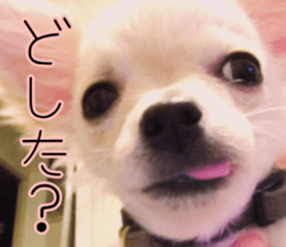 Dear Ritz.2 sticker #13495036