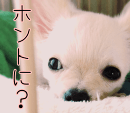 Dear Ritz.2 sticker #13495038