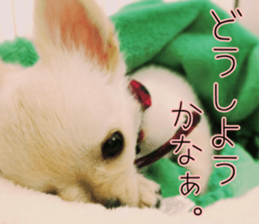 Dear Ritz.2 sticker #13495042