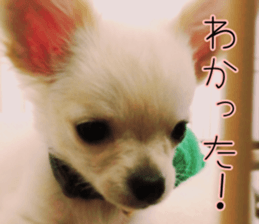 Dear Ritz.2 sticker #13495044