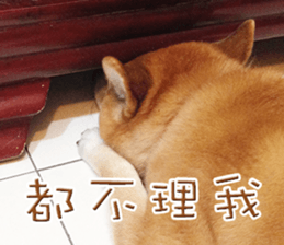 Shiba Inu Diary sticker #13495456